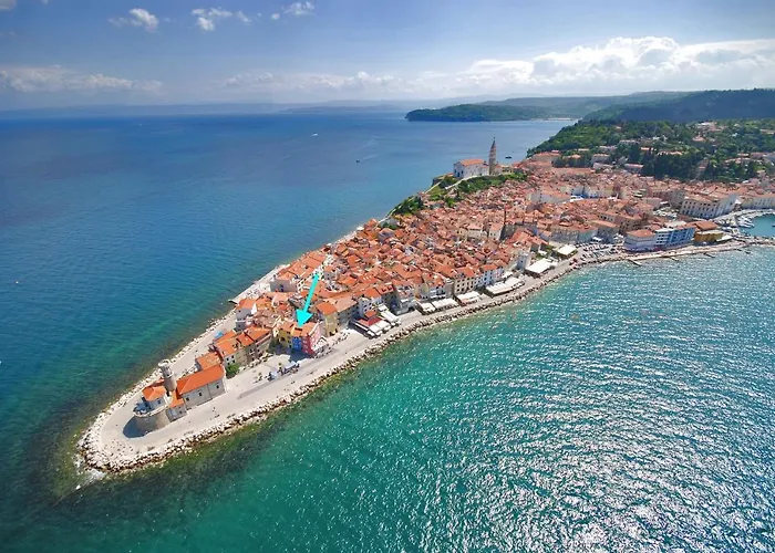 Punta Joe 2'8 By Locap Group *